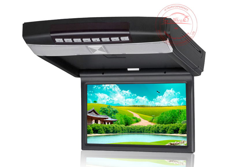 10.1'' Roof Mounted Flip Down DVD Player