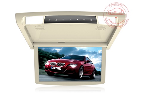 15.6 inch Motorized Roof Monitor